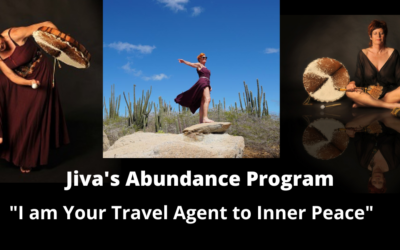 Jiva’s Abundance Program